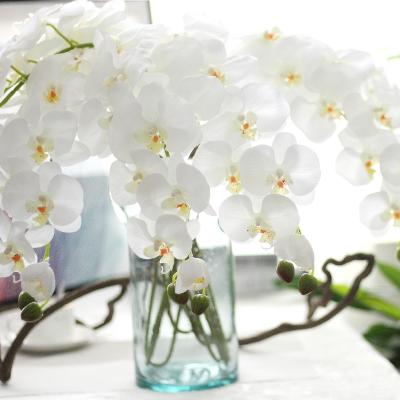 China Latex DIY Hand Touch Real Flower Arrangements 9 Heads White Phalaenopsis Orchid Plants Flower For Centerpieces Decoration For Wedding for sale