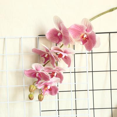 China Home Decoration Flower Arrangement Garland Latex Phalaenopsis Real Butterfly Flowers Rose Floral Hand Made Latex Accessories Fake Latex Orchids for sale