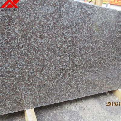 China Factory Price High Quality Modern Rosa Porino Granite Slabs Tiles Cheap Chinese On Sale for sale