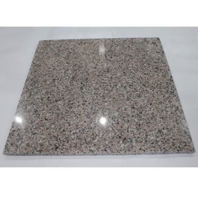 China Wholesale Cheap High Quality Modern Price G564 Rosa Porrino Granite Floor Tiles 60*60 for sale