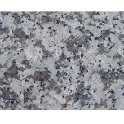 China Factory Modern High Polished G623 Gray Rosa Beta Granite Floor Tile Price from Quanzhou for sale