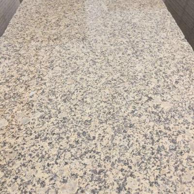 China 600*600MM Modern Chinese Natural Yellow Gold Granite Exterior Xinjiang Karamori Tiles For Wall for sale