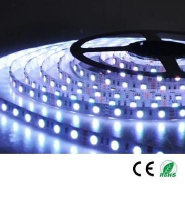 China 12V 24V 5050 360 leds 72 leds/m flexible led strip 5 meter per roll white light warm white for sale