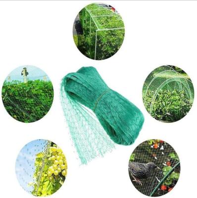 China Agriculture Use High Tenacity Strength Barrier Net Nylon Net Roll Anti-Bird Super Workmanship To Protect Agricultural Products for sale