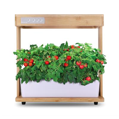 China Adjustable Germination Modern Sized Indoor Garden Smart Hydroponic Growing System Kit for sale