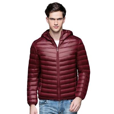 China 100% New High Quality QUICK DRY Fashion Men's Striper Coat Outer Jackets For Men Winter Hooded Down Jacket for sale