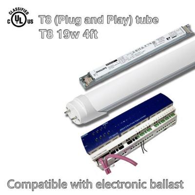 China T8 SMD Dimmable LED Tube Lights With Electronic Ballast AC 100 - 277V Input for sale