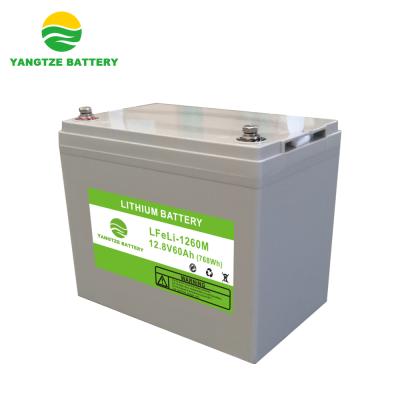 China UPS CE Certificated Lithium Iron Phosphate Battery 12v 60ah With 5 Years Warranty for sale