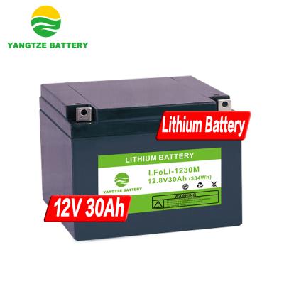 China UPS Yangtze 12v Lithium Ion Electric Bicycle Battery LiFePO4 12v 24v 36v 30ah for sale