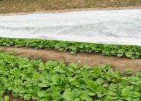 China White pp spunbond mulch film for vegetables for sale