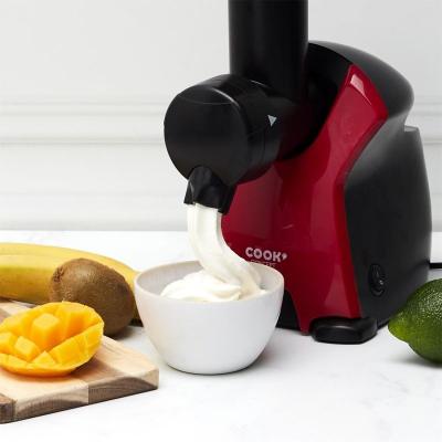 China Household Kitchen Appliances Fruit Ice Cream Maker With CE, CB, LFGB, RoHS for sale