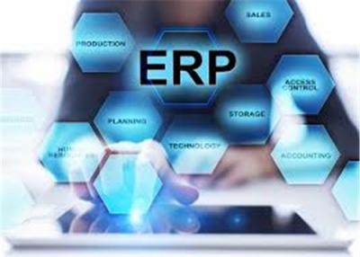 China User Friendly ERP System Multiple Language Support Professional OEM for sale