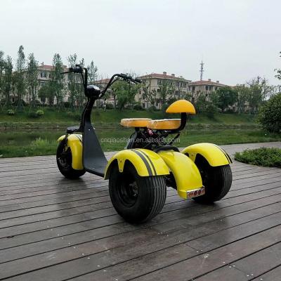 China Electric scooter motorcycle 1500W unisex lithium battery electric tricycle citycoco for sale