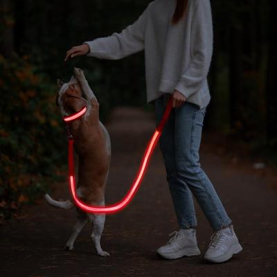 China Lights Amazon Hot Selling Glowing Pet Collar Adjustable Big Dog Leash LED Collar Set for sale