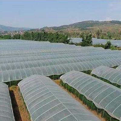 China PE Prevent Drip 200 Micron Greenhouse UV Resistant Plastic Film for sale