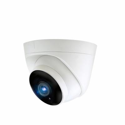 China Motion Detection High Reliability AHD IP66 1MP/1.3MP /2MP /3MP Dome Surveillance Security CCTV Camera for sale