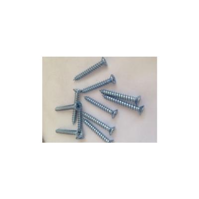 China Pan Wholesale High Quality M6 Carbon Steel Torx Cross Recessed Screws for sale