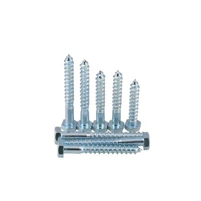 China HEX China Supplier DIN 571 Hex Screw Fasteners M6-M12 High Strength Stainless Steel for sale