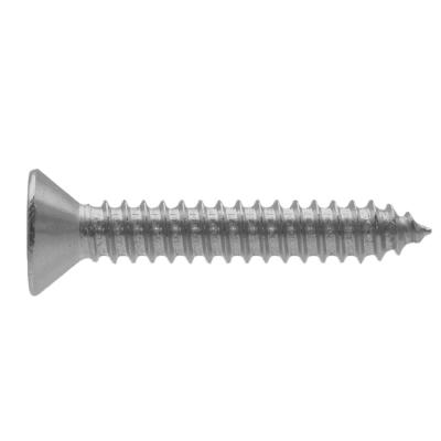 China Manufacturers Round Countersunk Self Tapping Cross Recessed Head Nails Fasteners for sale