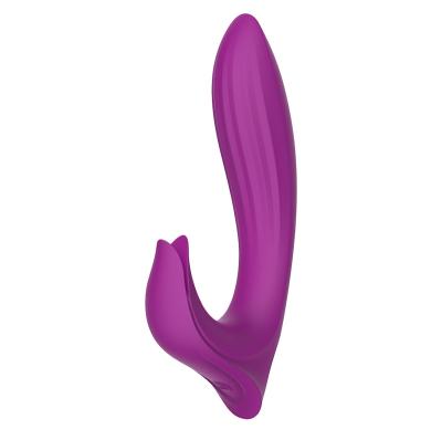 China 10 Modes Vibration Adult Sex Toys Vibrator For Women - 2in1 Vibrating Nipples With 8 Modes Vibrating Massager For Woman Sex Machine For Female ADU for sale