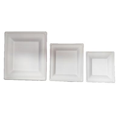 China Portable Disposable Small Sugarcane Bagasse Paper Fiber Plates Meal Dishes On The Go 6inch Square Dish for sale