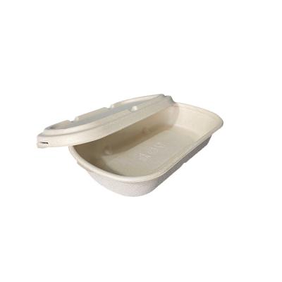 China Biodegradable Compostable Within 90 Of The Day Super Rigid Pulp Molding Food Grade Good Quality Bagasse Oval Box 500ml With Paper Lid Bento Boxes for sale