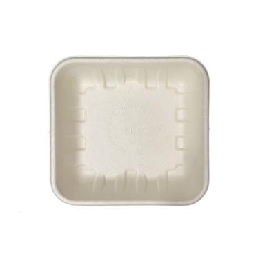 China UT04 Disposable Tray Microwave Bagasse Food Containers Hot Selling Eco-friendly Sugar Cane Pulp Tray for sale