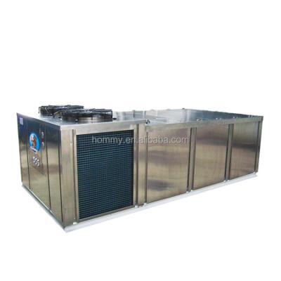 China Commercial Industrial In Price Ton Dry Snow Small Direct Solar Automatic Container 1 Commercial Big Ice Maker Machine For Making Block Ice for sale