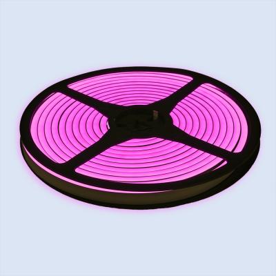 China LANDSCAPE Bestselling 5meters Kit Silicone Neon Color LED Cable LED Strip Light Neon Black 6*12mm Neon Pink Light Led Strip for sale