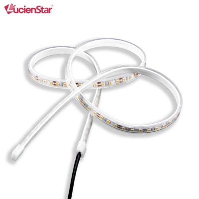 China Hot Selling Indoor/Outdoor Commercial Constant Voltage SMD2835 LED Flex Strip Lights Waterproof for sale