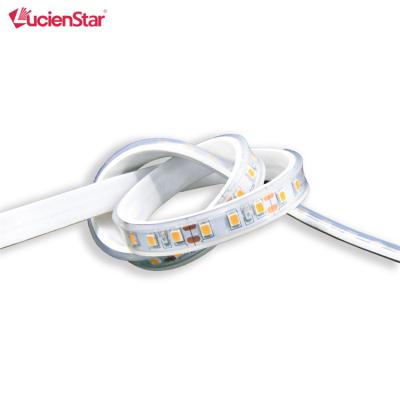 China Indoor/outdoor professional production environmental silicone led decorative strip light for indoor/outdoor for sale