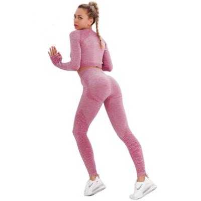 China Hot Selling High Quality Ribbed Seamless Sports Breathable Suits Gradient Fitness Yoga Long Sleeve Set for sale