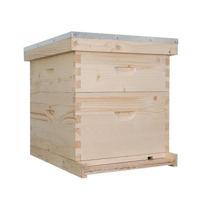 China Wooden Farms Langstroth Bee Hive Box Double Layers Hive for sale