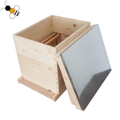 China Farms Beekeeping Equipment Wooden Box Beehive 10 Frame Langstroth Bee Hive for sale