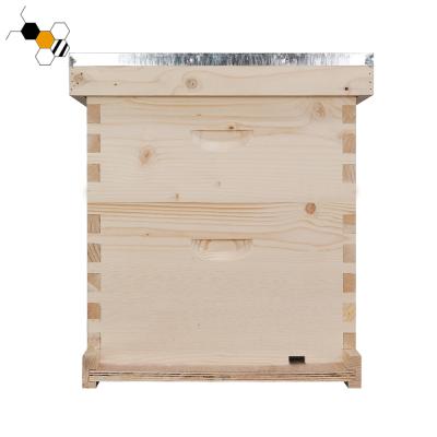 China Farms Beekeeping Equipment Hive Box 10 Frame Bee Hive for sale