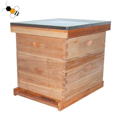 China 2020 National Farms Bee Hive Pine Wood Frame Bee Hive Boxes 10 for sale