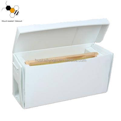 China Beekeeping Equipmet 5 Frames Corrugated Nuc Box Hive Plastic Box for sale