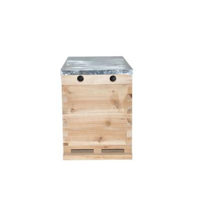 China Farms Beekeeping Manufacturers Nuc Hive Box Five Frame Nuc Hive Beehive Nuc Box for sale