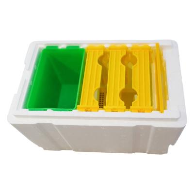 China Cultivate Plastic Queen Bee Mini Mating Box Mating Box for sale