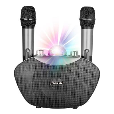 China No 2021 New Tech Family KTV Karaoke Speaker Wireless Microphone Wireless Microphone for sale