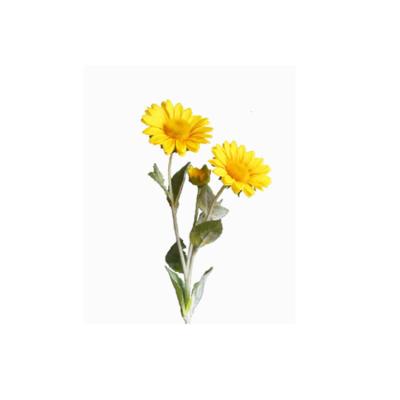 China 3 Imitation Sunflower Natural Flower Sunflower Van Gogh Photography Silk Home for sale