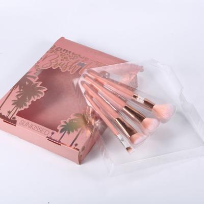 China Recycled Custom Colored Printing Clear Materials Makeup Brush Set Acetate Clear Plastic Packaging Box for sale