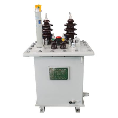 China Power Transformer SNTOOM Customized D11-20KVA 11/0.23KV Single Phase Oil Immersed Transformer 11KV 20KVA Power Distribution Transformer for sale