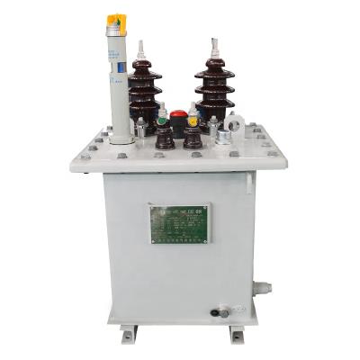 China Power Transformer SNTOOM Customized D11-63KVA 11/0.23KV Single Phase Oil Immersed Transformer 11KV 63KVA Distribution Transformer for sale