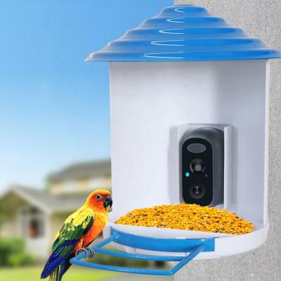 China Automatic Hot Selling Pet Bird Feeder Bird Feeder HD Intelligent Outdoor Waterproof Solar Watching Video Wireless Pet Feeder for sale