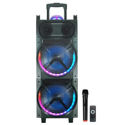 China 2021 DIWEIQI DOUBLE None 10 Inch New Battery Outdoor Speaker Cart Style for sale