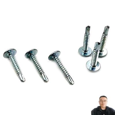 China C1022 Zinc Flat Truss Head Self Drilling Screw for sale