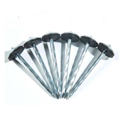 China Rubber Gasket Flat Roofing Nails Common Roofing Nail Umbrella Nails for sale