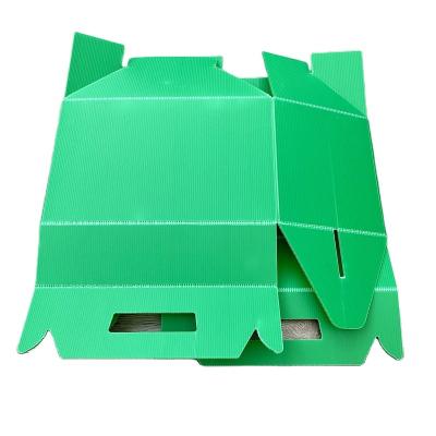 China Eco - Friendly Green Folding PP Corrugated PP Plastic Box Plastic Storage Bins With Customized Size for sale