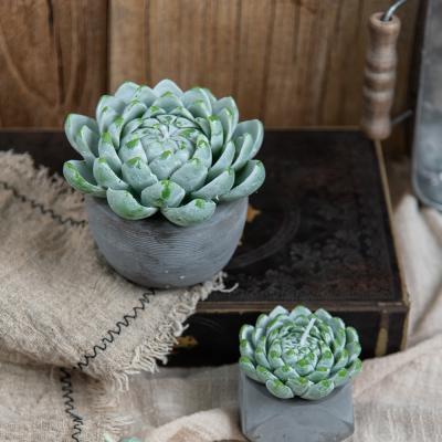 China CLASSIC Wholesale Artificial Cactus Paraffin Candle Home Stone Crafts for sale